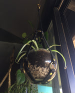 Baby plant hanger with bowl