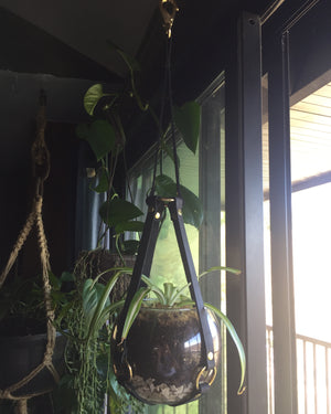 Baby plant hanger with bowl
